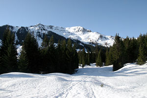 Sonnberg und Bärensteigkopf