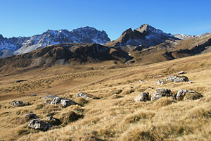 Alp Anarosa