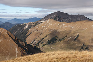 Schafreuter aus Südosten