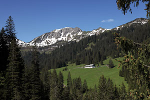 Sulzspitze
