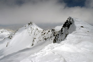 Schildspitze
