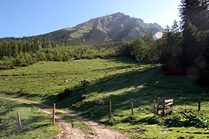 Südflanke
