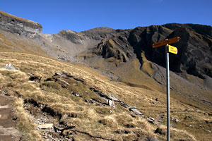 Schwarzhorn, SW-Flanke