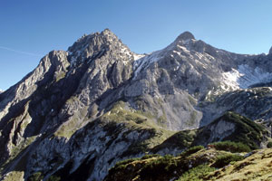 Tajaköpfe