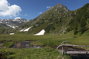 Tresdorfer Wölla