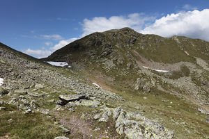 Törlkopf
