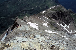 Pfeiferspitzen
